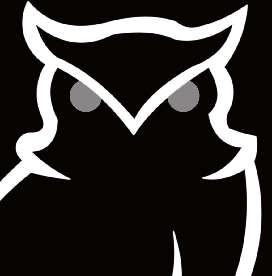 SkipOwls logo